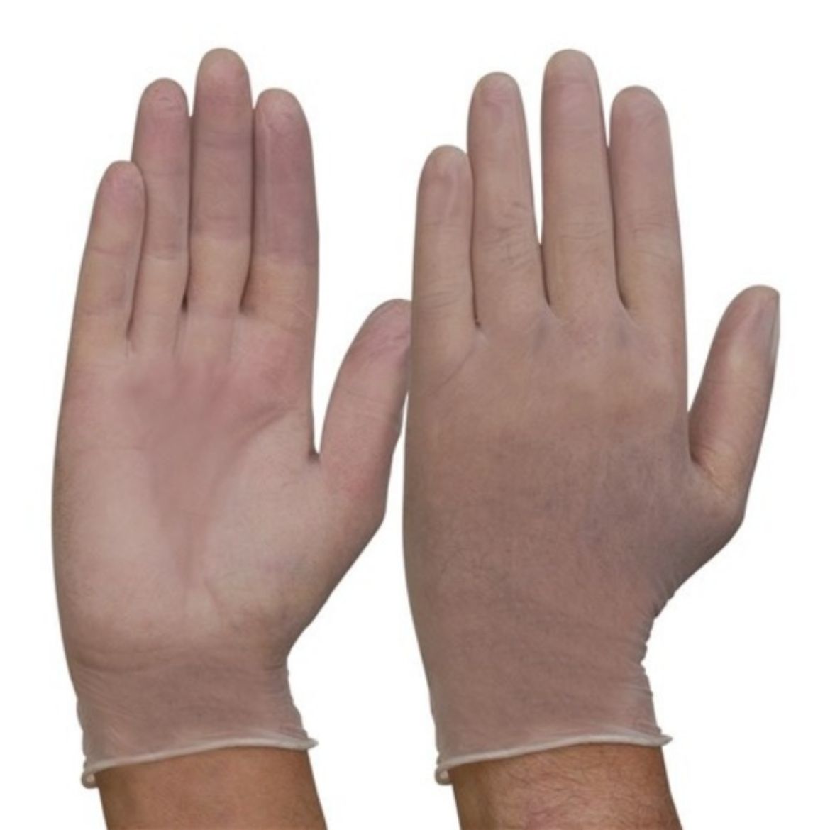Picture of DVNPF.SIZE - CLEAR, POWDER FREE GLOVES. AVAILABLE IN SIZES S & L